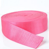 New Material Hot Sale PP Tape Webbing for Garments From China Factory